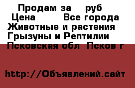 Продам за 50 руб. › Цена ­ 50 - Все города Животные и растения » Грызуны и Рептилии   . Псковская обл.,Псков г.